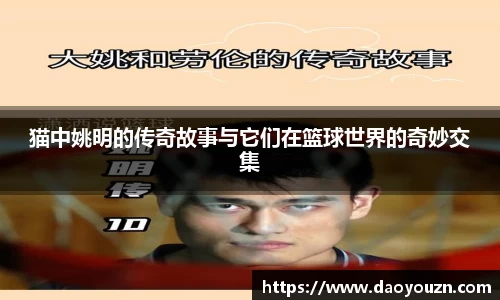MK体育